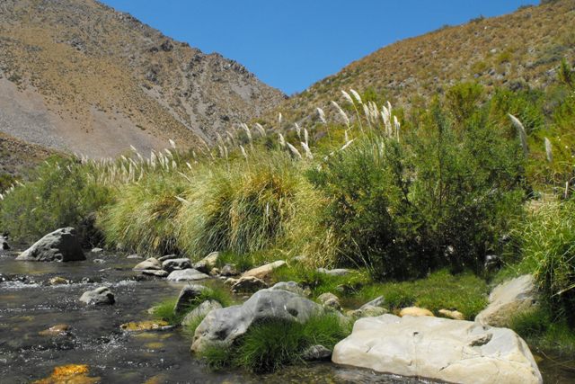 Este río abundante y generoso jamás se seca en estas alturas 1500 m. de h.